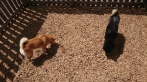 昼のお時間 2019/8/5