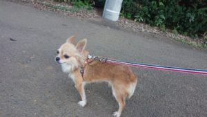 夜のお時間 2019/8/5