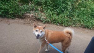 朝のお時間 2019/8/6