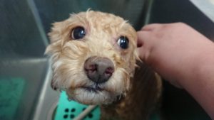 昼のお時間 2019/8/6