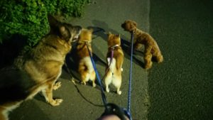 夜のお時間 2019/8/6