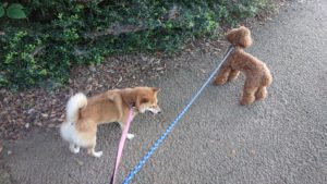 朝のお時間 2019/8/7