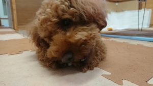 昼過ぎのお時間！ 2019/8/7