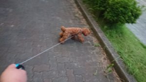 夜のお時間 2019/8/7