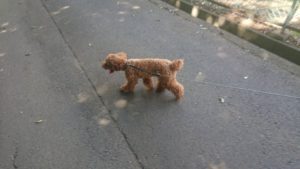 朝のお時間 2019/8/8