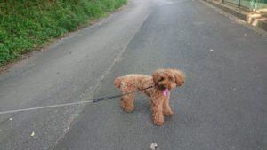 朝のお時間 2019/8/9