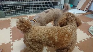 昼のお時間 2019/8/9