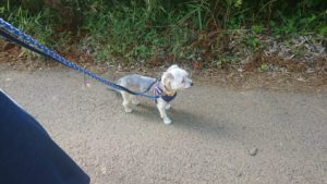 夜のお時間 2019/8/9