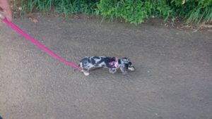 朝のお時間 2019/8/10