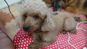 昼のお時間 2019/8/10