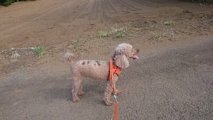 夜のお時間 2019/8/10