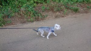 朝のお時間 2019/8/11