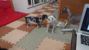 昼のお時間 2019/8/11