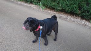 夜のお時間 2019/8/11