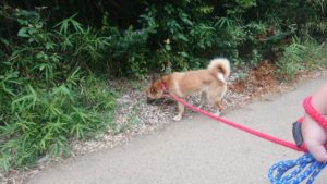 朝のお時間 2019/8/12