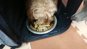 昼のお時間 2019/8/12