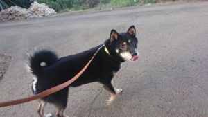 夜のお時間 2019/8/12