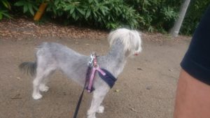 朝のお時間 2019/8/13