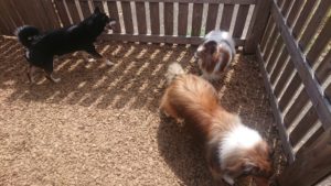 昼のお時間 2019/8/13