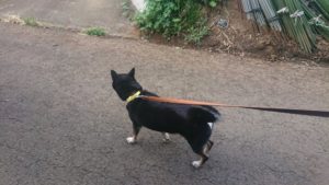 朝のお時間 2019/8/14