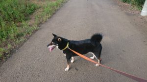 夜のお時間 2019/8/14