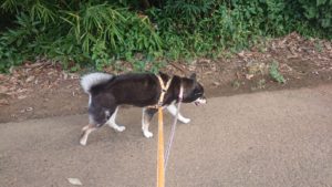 朝のお時間 2019/8/15