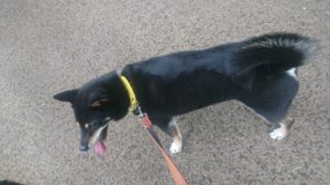 夜のお時間 2019/8/15