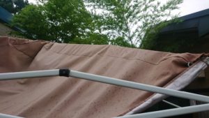 朝のお時間 2019/8/16