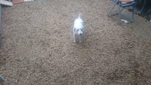 昼のお時間 2019/8/16