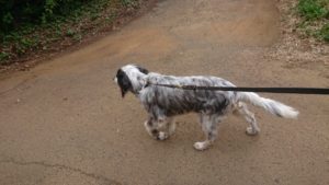 夜のお時間 2019/8/16