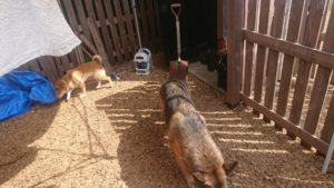 午後のお時間 2019/8/17