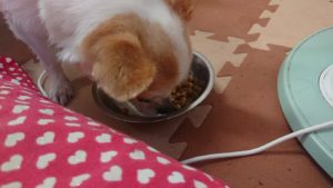 昼のお時間 2019/8/18