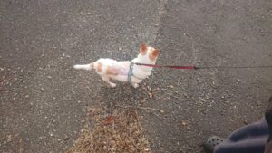 夜のお時間 2019/8/18