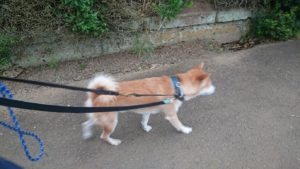 朝のお時間 2019/8/19