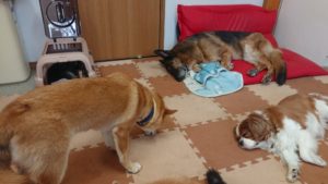 昼のお時間 2019/8/19