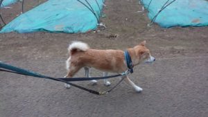 夜のお時間 2019/8/19