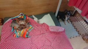 お昼です！ 2019/8/20