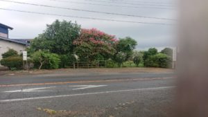 夜のお時間 2019/8/20