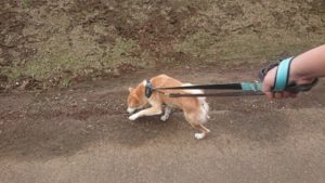 朝のお時間 2019/8/21