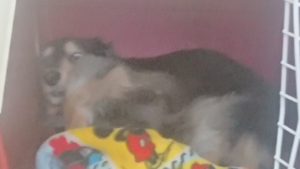 昼のお時間 2019/8/21