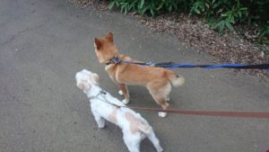 夜のお時間 2019/8/21