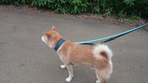 朝のお時間 2019/8/22