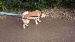 夜のお時間 2019/8/22