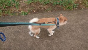 朝のお時間 2019/8/23