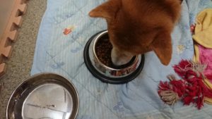 送迎中ですが  2019/8/23