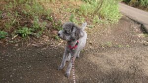 朝のお時間 2019/8/24