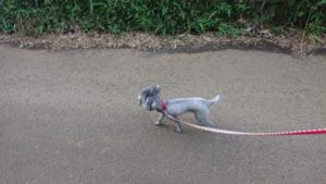 夜のお時間 2019/8/24