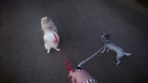 夜のお時間 2019/8/25