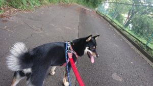 朝のお時間 2019/8/27