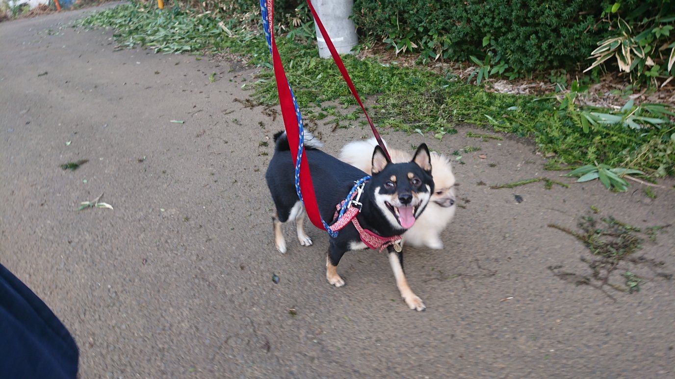 夜のお時間 2019/8/27